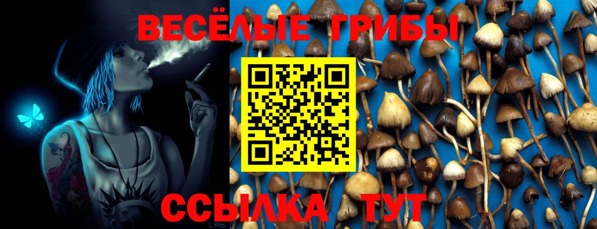 Галлюциногенные грибы MAGIC MUSHROOMS Петровск