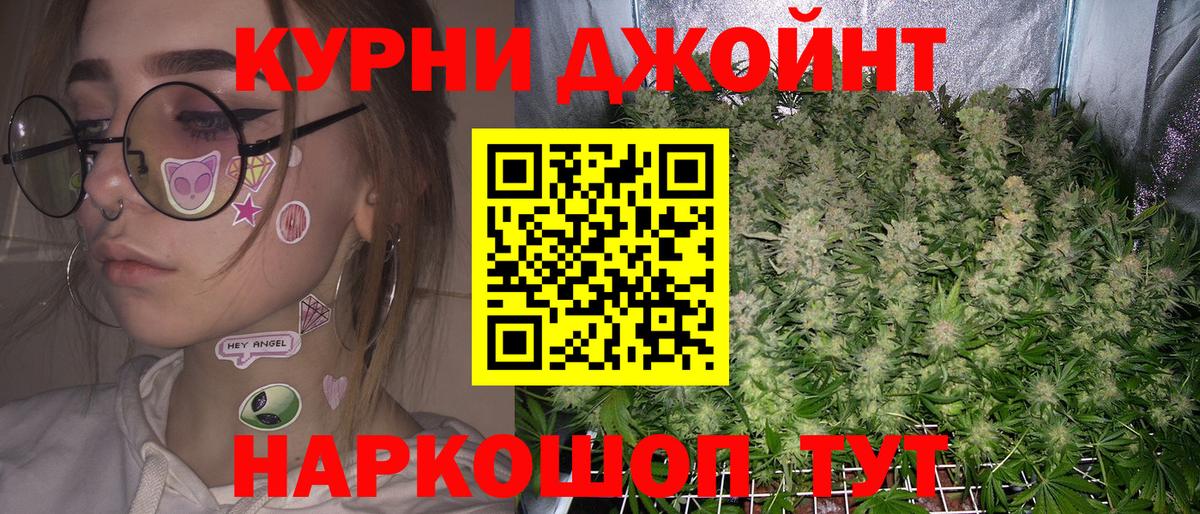Конопля OG Kush Петровск